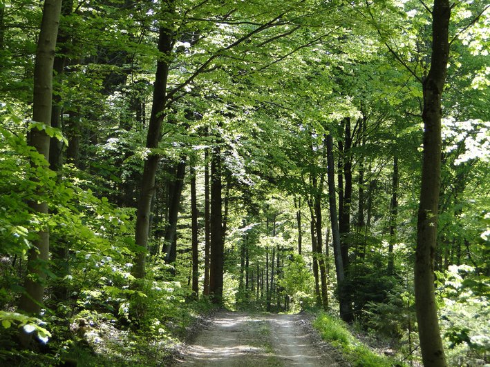 Natur Zentrum Isartal Natur Zentrum Isartal