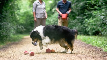 Der kleine Herbst möchte aus dem Mai abgeholt werden – Mit Humor das Unveränderbare akzeptieren Artikel Herbst Zwei Personen mit Hund