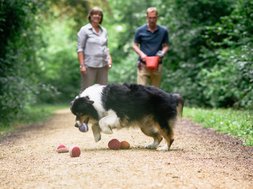 Der kleine Herbst möchte aus dem Mai abgeholt werden – Mit Humor das Unveränderbare akzeptieren Artikel Herbst Zwei Personen mit Hund