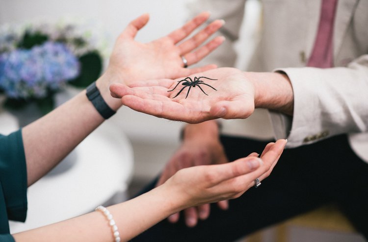 Verhaltenstherapie Phobie Psychotherapie