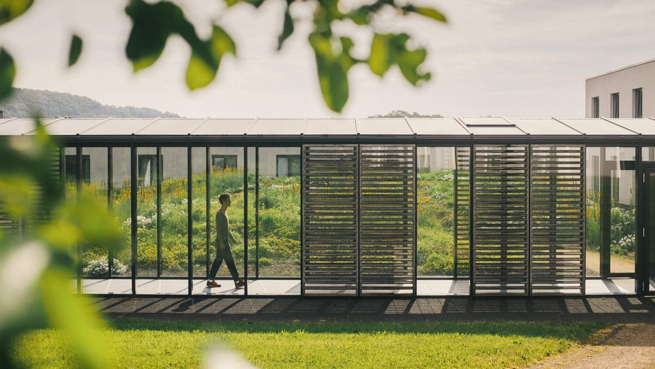 Mann in einem Tunnel aus Glas in der Natur
