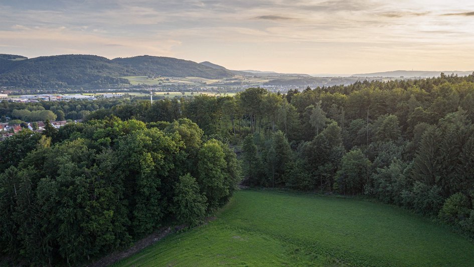 Psychoonkologie hilfe psychoonkologie hilfe