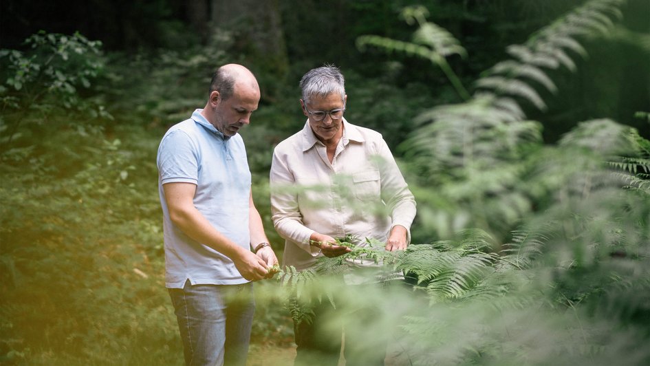 Therapie-Dreiklang Eine Mann und eine Frau ertasten Blätter eines Strauchs.