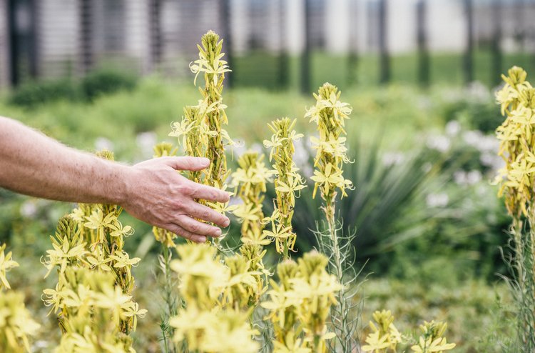 Therapie und Natur Tiere mit in die Klinik