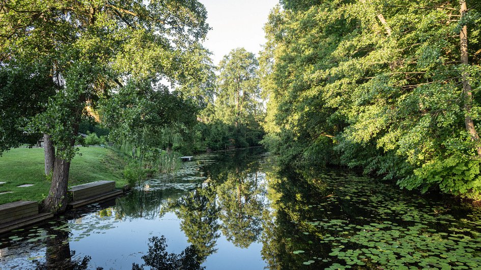 Therapie-Dreiklang  Ein Fluss, an dessen Ufer sich Büsche und Bäume befinden.