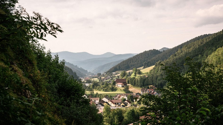 Therapie-Dreiklang Panorama des Mittelgebirges mit bewaldeten Bergen.