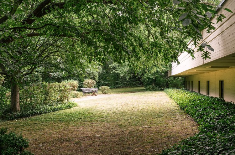 Ruhige Natur im Umfeld der Klinik Aromatherapie in der erholsamen Umgebung der Oberberg Somnia Fachklinik Köln Hürth