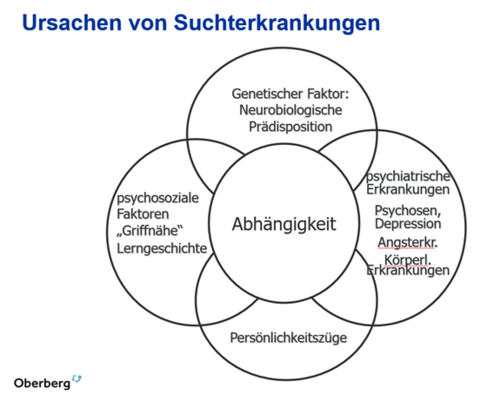 Infografik: Ursachen von Suchterkrankungen