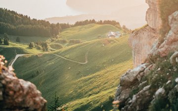 Trübster Winter seit 43 Jahren – Was tun, damit der Lichtmangel nicht aufs Gemüt schlägt Artikel Depression Landschaft