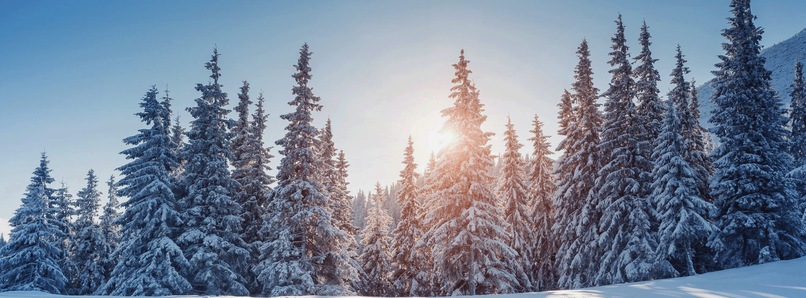 aufnahmezeiten zu weihnachten aufnahmezeiten zu weihnachten