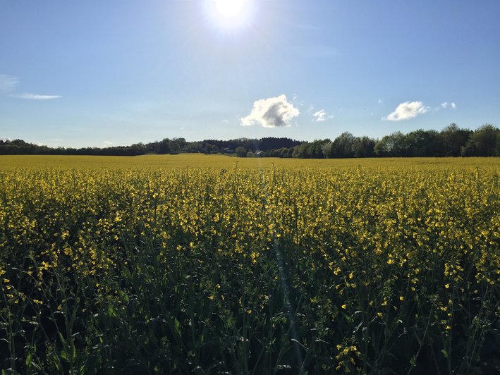 Therapieangebot Zentrum Isartal Therapieangebot Zentrum Isartal