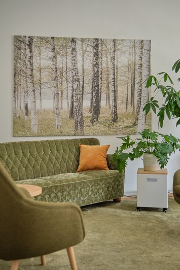 gemütlich eingerichteter Raum mit grünem Teppich, Sofaund Sessel