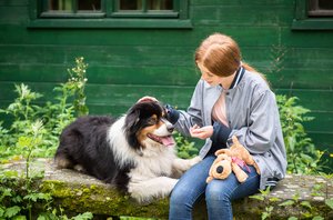 Therapieangebot Tiergestützte Therapie mit Hund
