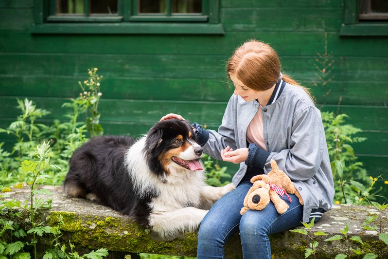 Therapieangebot Tiergestützte Therapie mit Hund