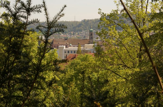 waldbaden bad säckingen