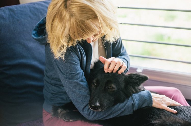 Psychotherapie mit Tier Tierbegleitete Psychotherapie