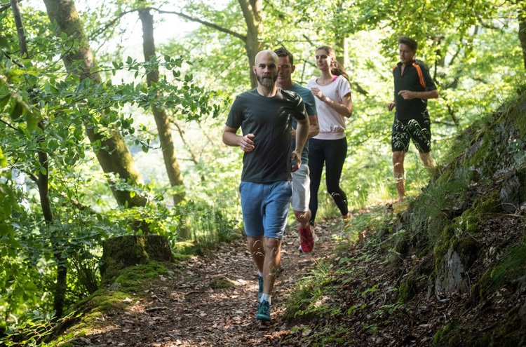kleine Laufgruppe auf einen Waldweg, Sonne scheint zwischen Bäumen hindurch