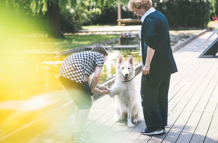 Wirkung von Tieren auf Menschen Therapie durch Tiere