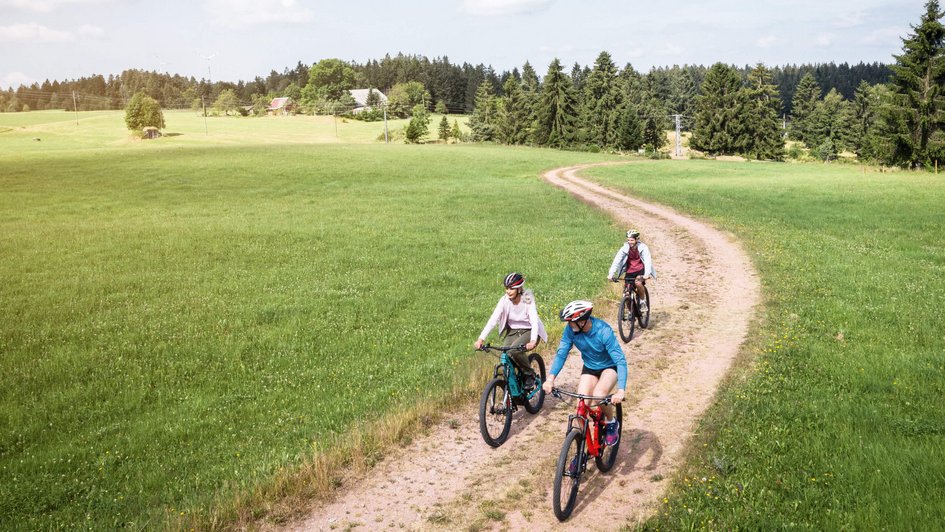 Freizeit-Aktivitäten Drei Fahrradfahrer fahren auf einem Sandweg durch die Landschaft. Im Hintergrund Himmel und Bäume