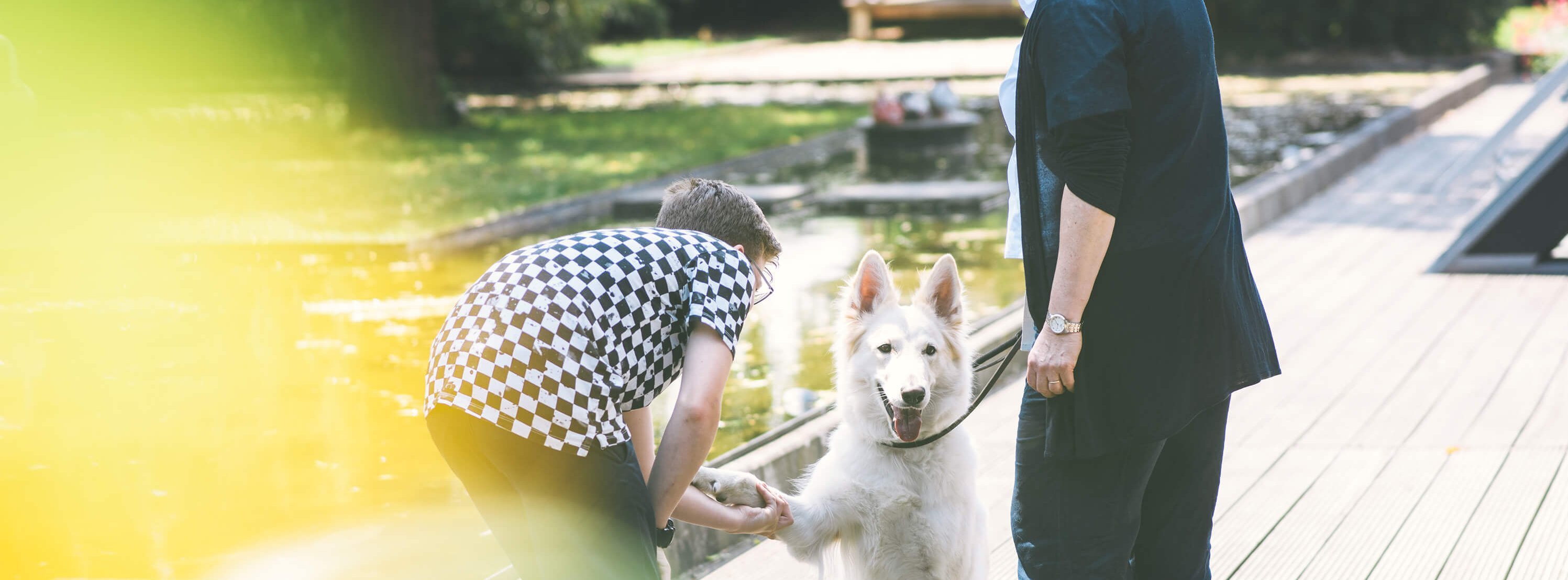 Tiergestützte Therapie