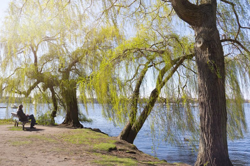 Therapie Dreiklang die Atmosphäre
